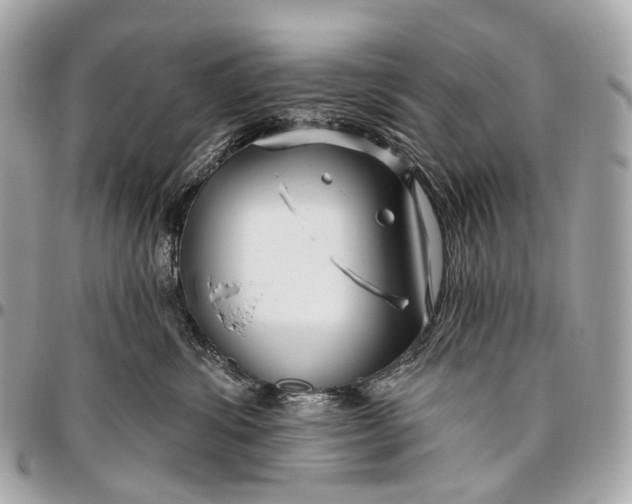 X0000096450428200802071816