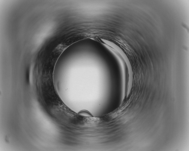 X0000096450429200802071816