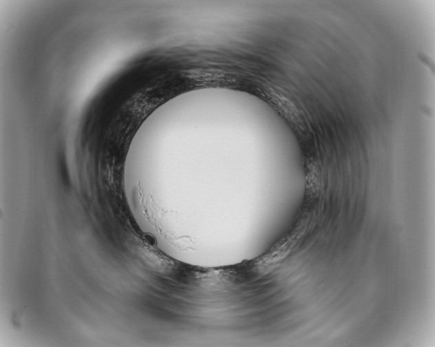 X0000096450430200802071816