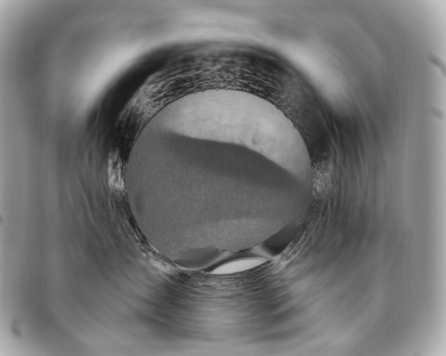 X0000096450431200802071816