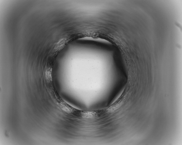 X0000096450432200802071816