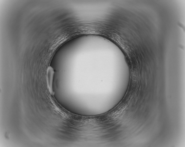 X0000096450433200802071815