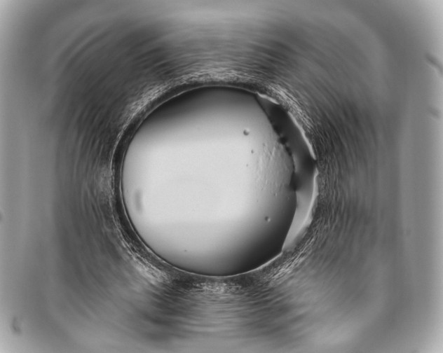 X0000096450439200802071815