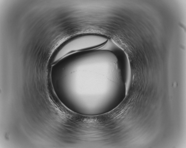 X0000096450440200802071815