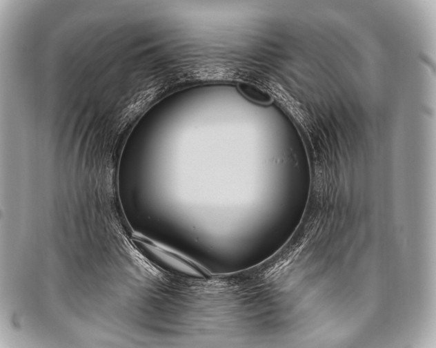 X0000096450441200802071815