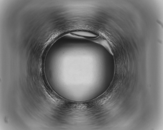 X0000096450443200802071815