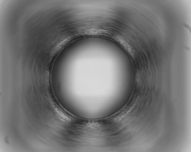 X0000096450445200802071815