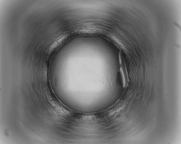 X0000096450446200802071815