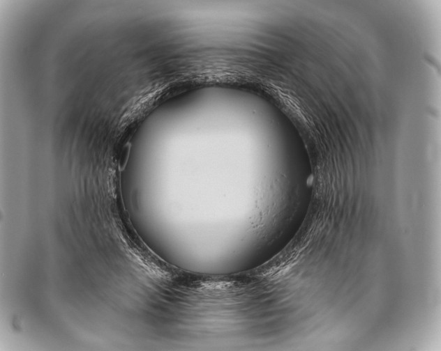 X0000096450450200802071815