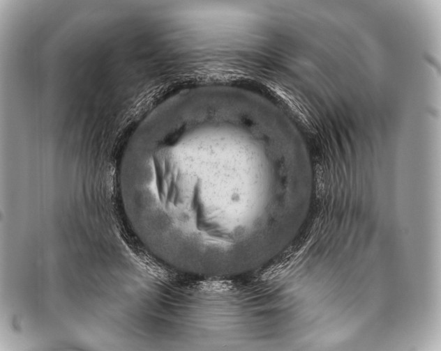 X0000096450451200802071815