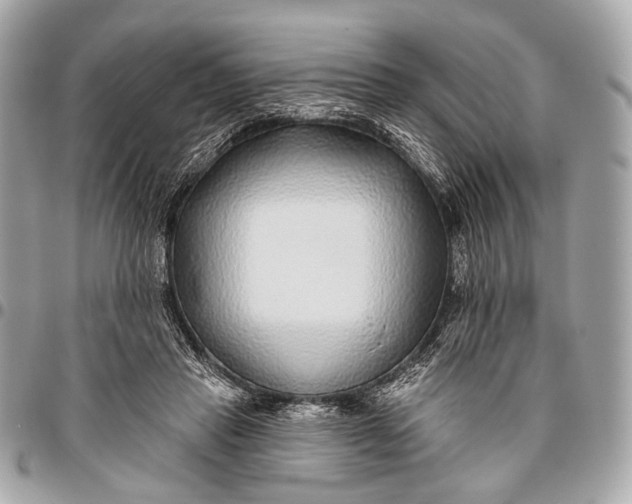 X0000096450453200802071815