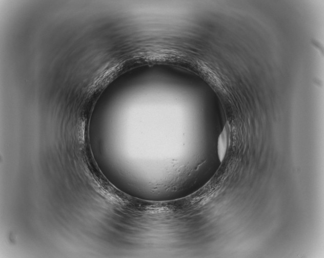 X0000096450454200802071815