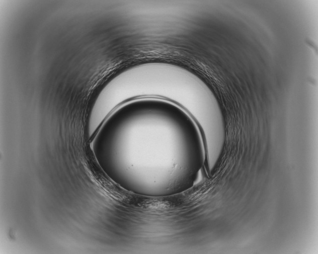 X0000096450456200802071815