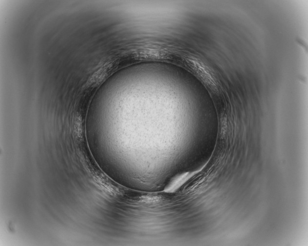 X0000096450457200802071815