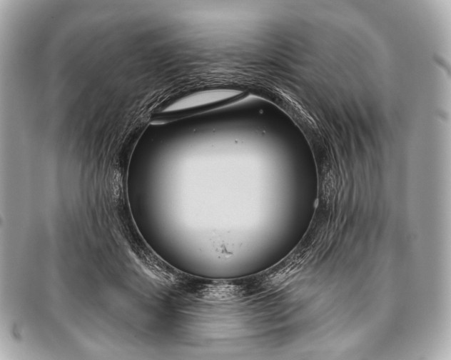 X0000096450459200802071815