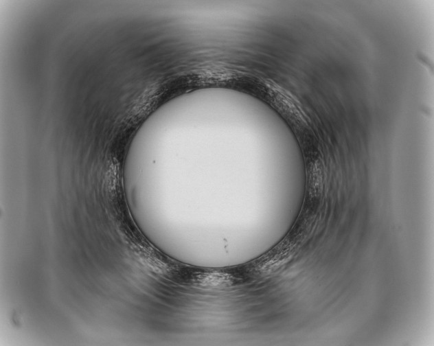 X0000096450463200802071815