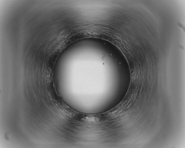 X0000096450464200802071815