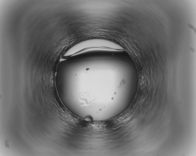 X0000096450466200802071815