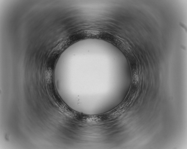 X0000096450468200802071816