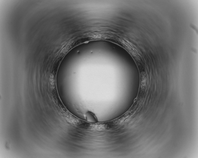 X0000096450469200802071816