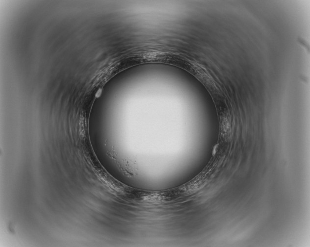 X0000096450470200802071816