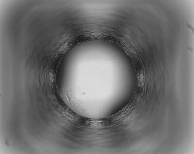 X0000096450472200802071816