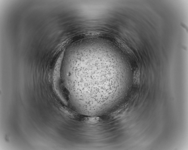 X0000096450474200802071816