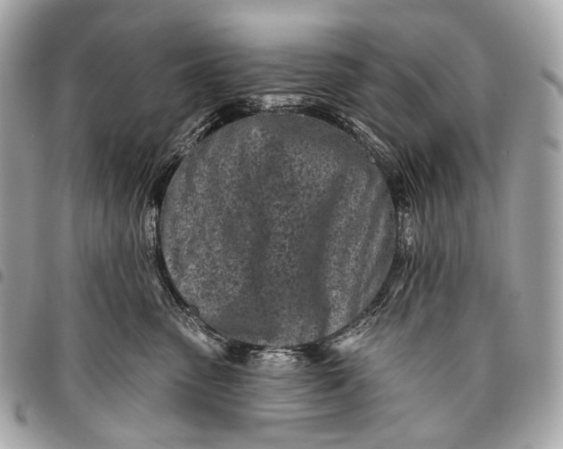 X0000096450475200802071816