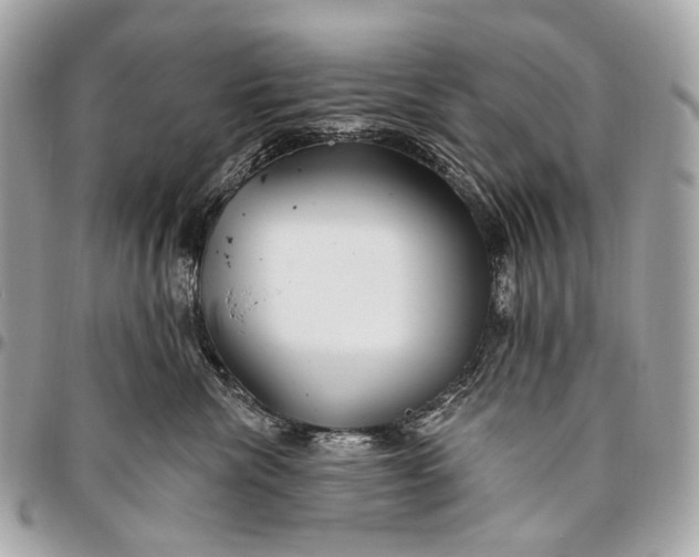 X0000096450476200802071816