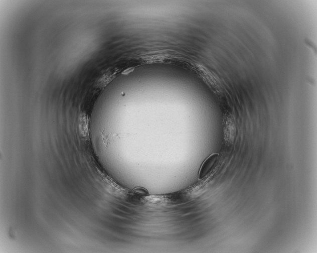 X0000096450477200802071816