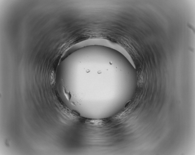 X0000096450478200802071816