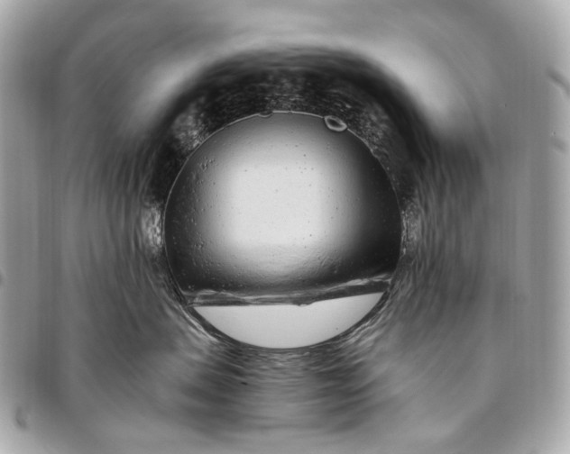 X0000096450479200802071816