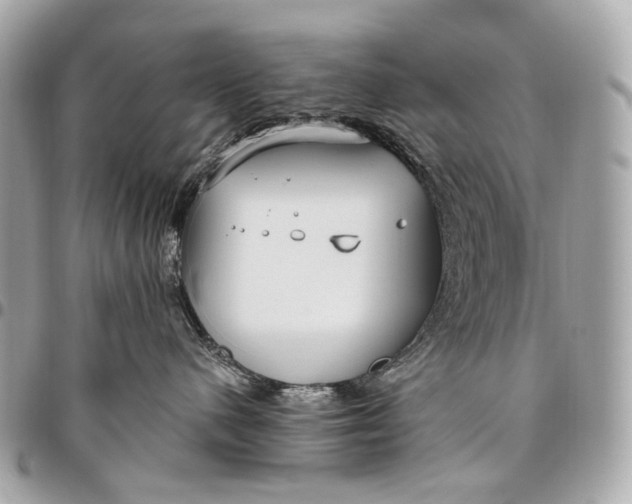 X0000096450480200802071816