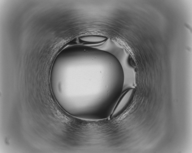 X0000096450481200802071815