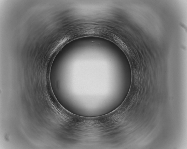 X0000096450482200802071815