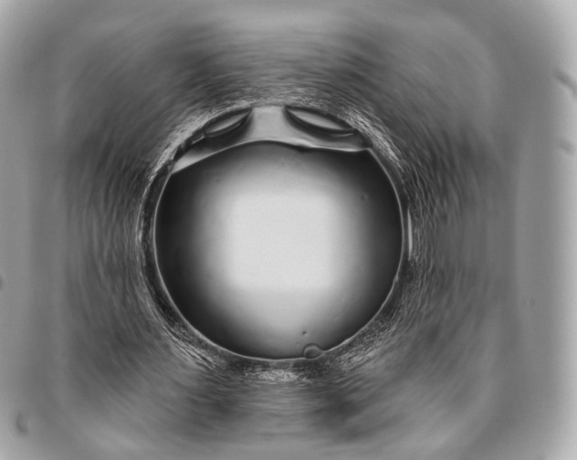 X0000096450483200802071815