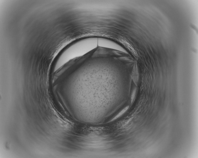 X0000096450484200802071815