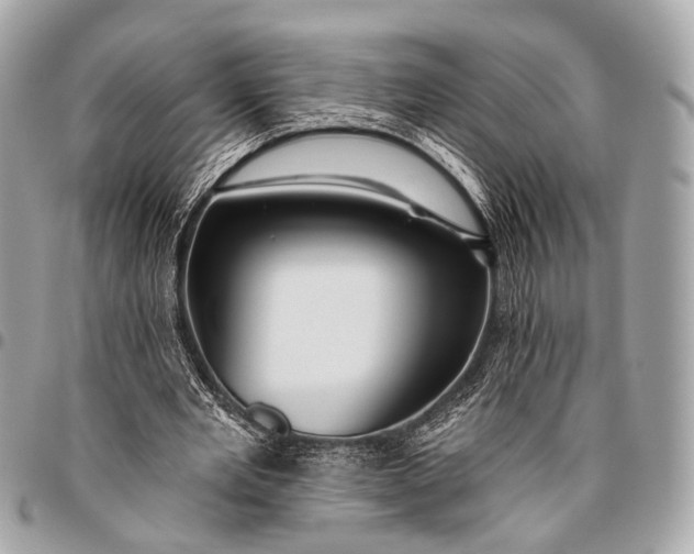 X0000096450485200802071815