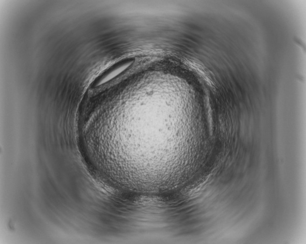 X0000096450487200802071815