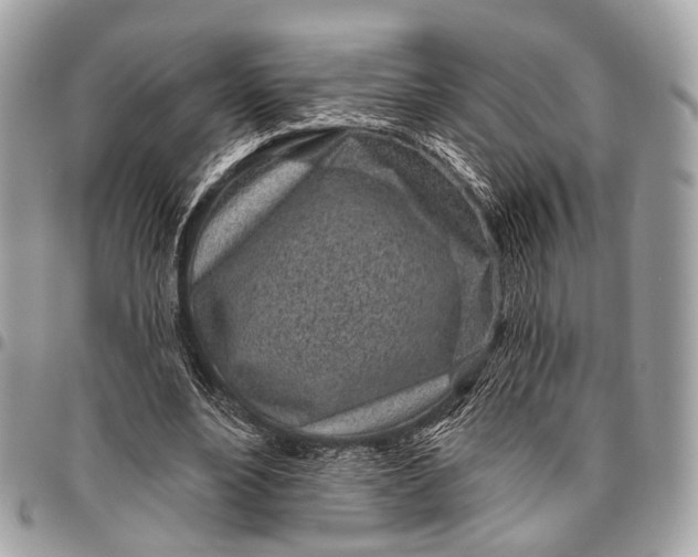 X0000096450488200802071815