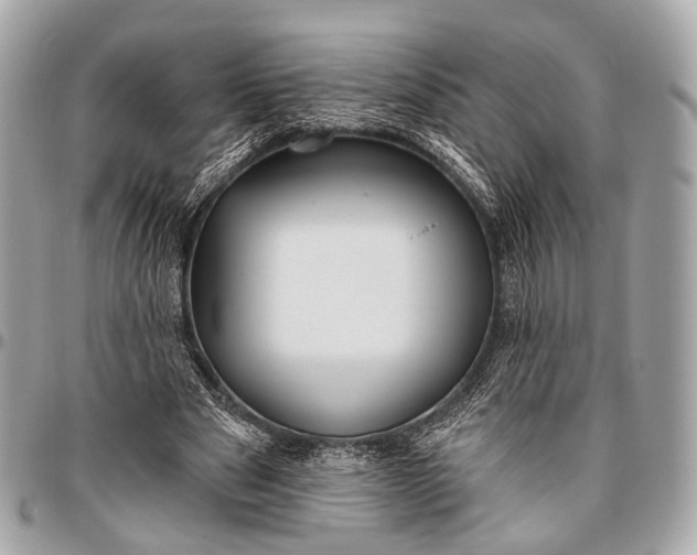 X0000096450489200802071815