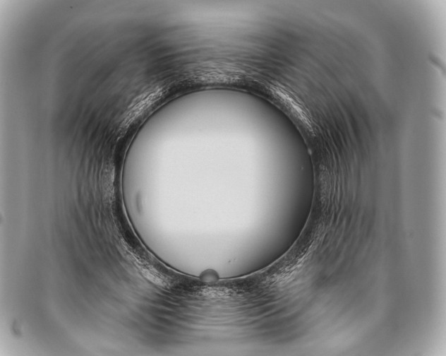 X0000096450490200802071815