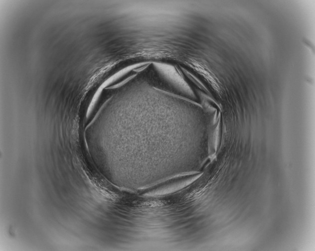 X0000096450492200802071815