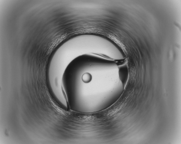 X0000096450493200802071815