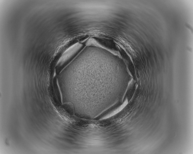 X0000096450496200802071815