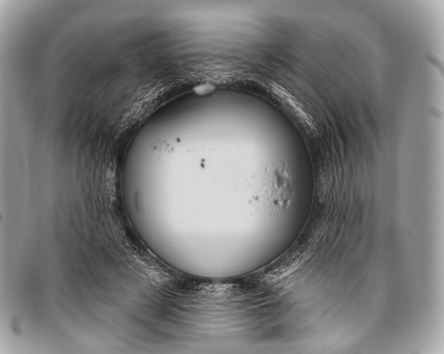 X0000096450497200802071815