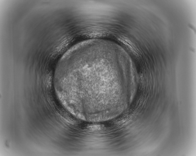 X0000096450499200802071815