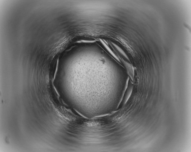 X0000096450500200802071815