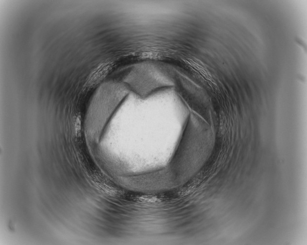 X0000096450502200802071815