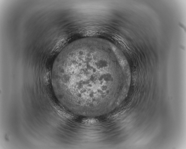 X0000096450503200802071815